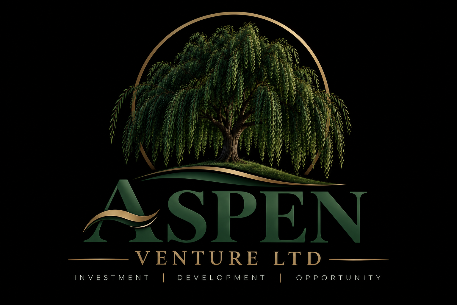 Aspen Venture Ltd logo